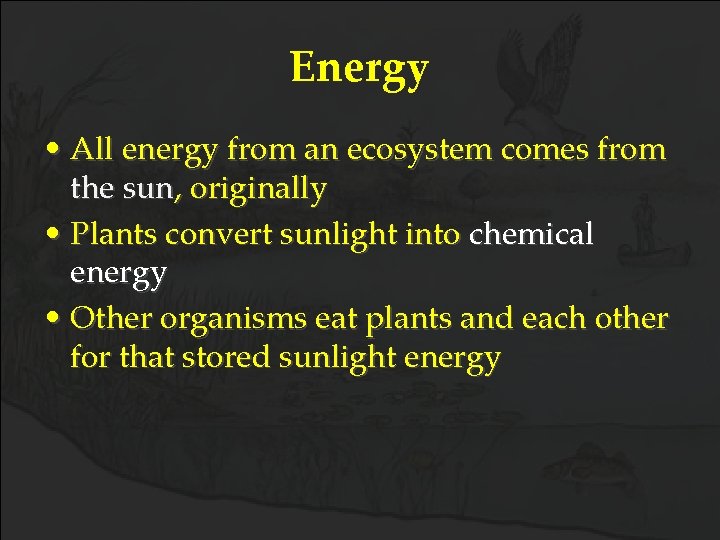 Energy • All energy from an ecosystem comes from the sun, originally • Plants