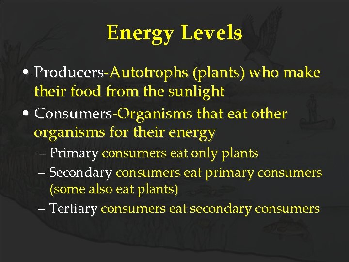 Energy Levels • Producers-Autotrophs (plants) who make their food from the sunlight • Consumers-Organisms