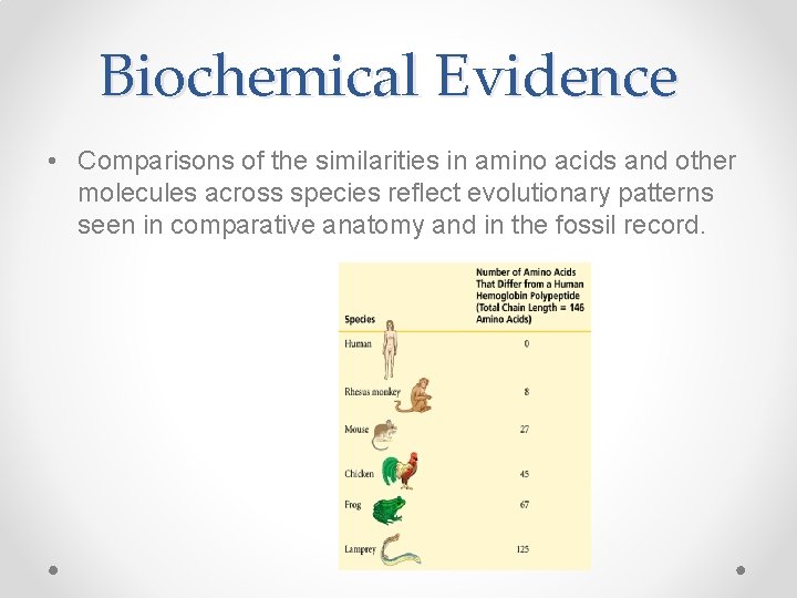 Biochemical Evidence • Comparisons of the similarities in amino acids and other molecules across