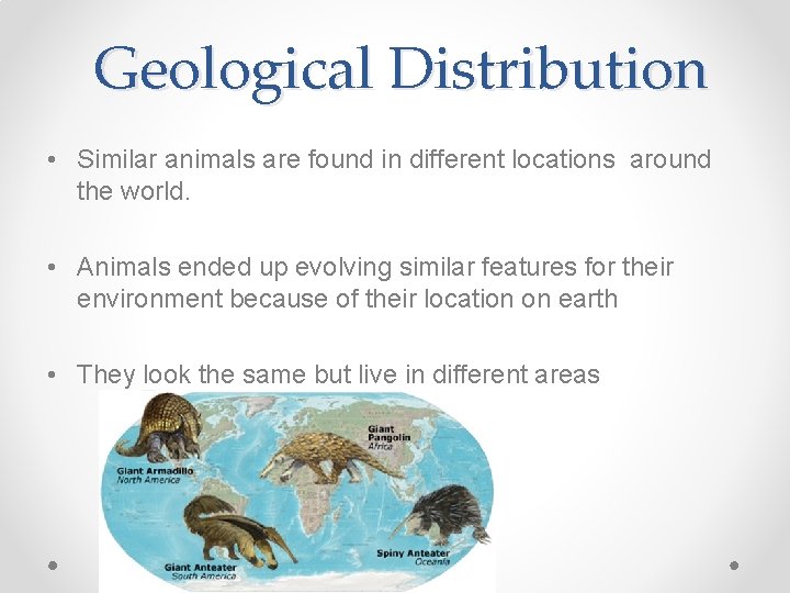 Geological Distribution • Similar animals are found in different locations around the world. •