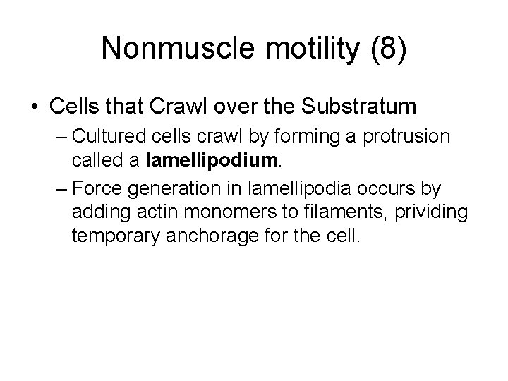 Nonmuscle motility (8) • Cells that Crawl over the Substratum – Cultured cells crawl