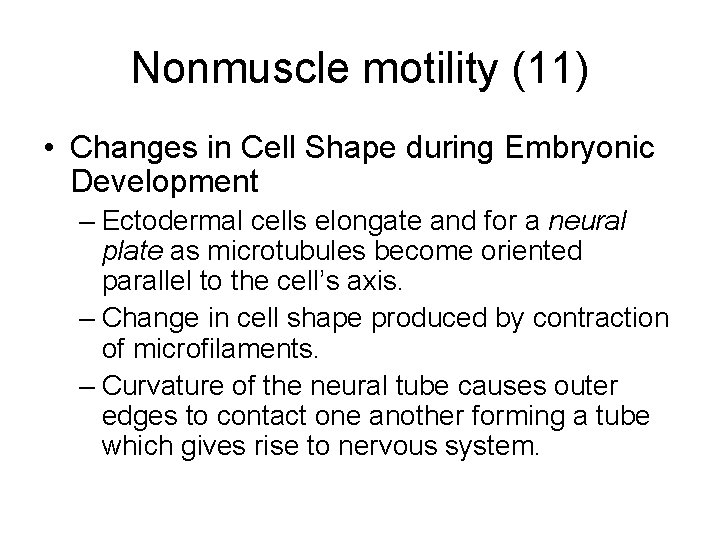 Nonmuscle motility (11) • Changes in Cell Shape during Embryonic Development – Ectodermal cells