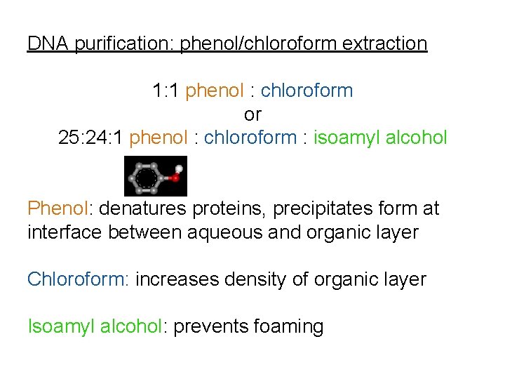 DNA purification: phenol/chloroform extraction 1: 1 phenol : chloroform or 25: 24: 1 phenol DNA purification: phenol/chloroform extraction 1: 1 phenol : chloroform or 25: 24: 1 phenol