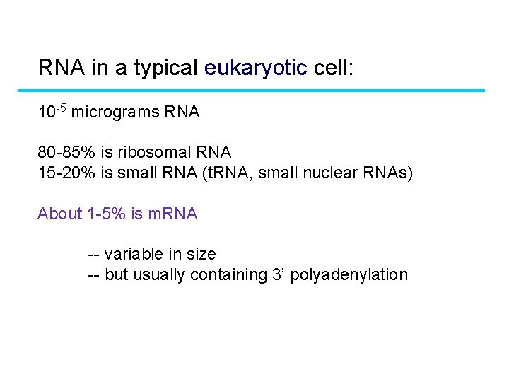 RNA in a typical eukaryotic cell: 10 -5 micrograms RNA 80 -85% is ribosomal RNA in a typical eukaryotic cell: 10 -5 micrograms RNA 80 -85% is ribosomal
