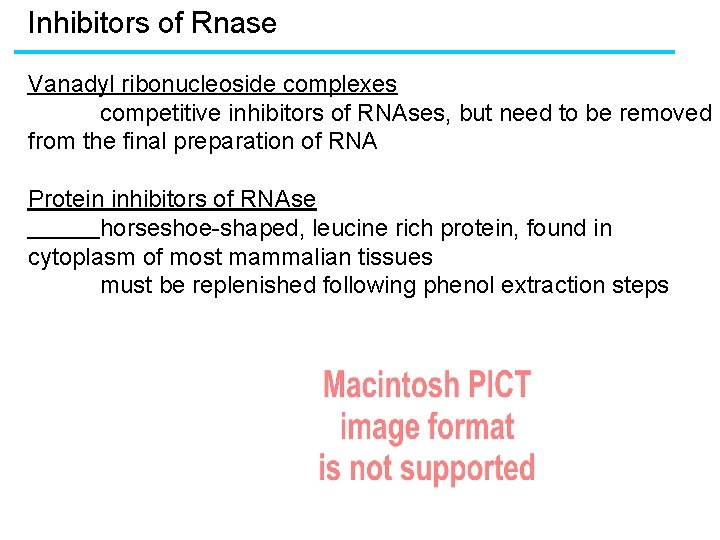 Inhibitors of Rnase Vanadyl ribonucleoside complexes competitive inhibitors of RNAses, but need to be Inhibitors of Rnase Vanadyl ribonucleoside complexes competitive inhibitors of RNAses, but need to be