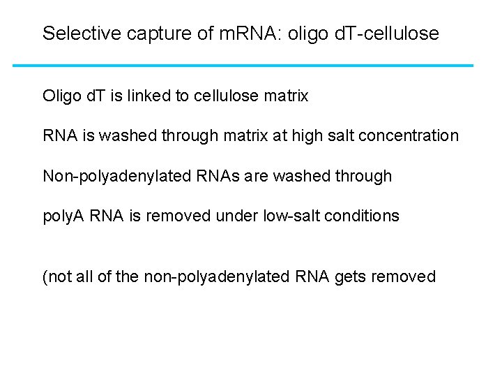 Selective capture of m. RNA: oligo d. T-cellulose Oligo d. T is linked to Selective capture of m. RNA: oligo d. T-cellulose Oligo d. T is linked to