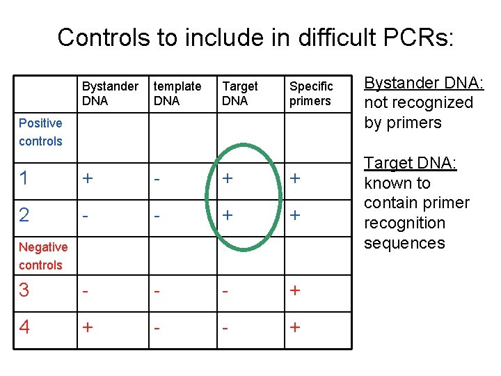 Controls to include in difficult PCRs: Bystander DNA template DNA Target DNA Specific primers Controls to include in difficult PCRs: Bystander DNA template DNA Target DNA Specific primers