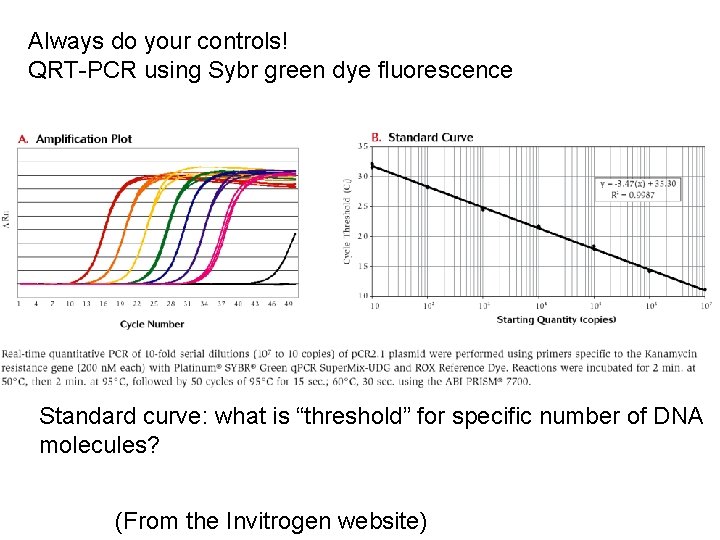 Always do your controls! QRT-PCR using Sybr green dye fluorescence Standard curve: what is Always do your controls! QRT-PCR using Sybr green dye fluorescence Standard curve: what is