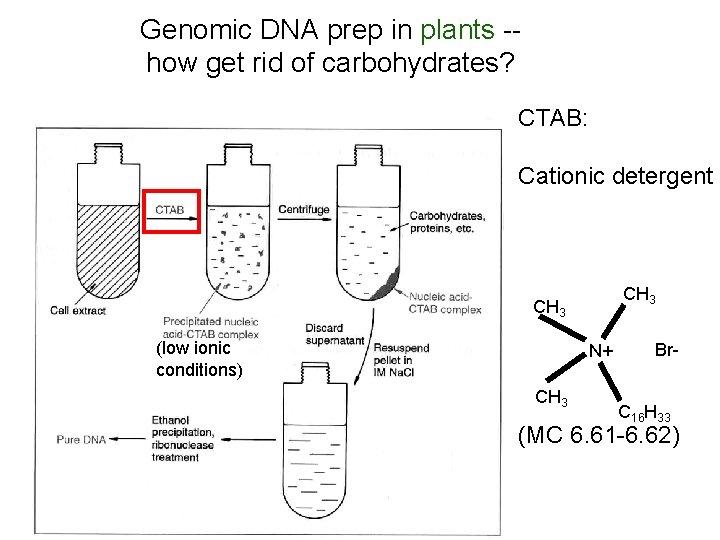Genomic DNA prep in plants -how get rid of carbohydrates? CTAB: Cationic detergent CH Genomic DNA prep in plants -how get rid of carbohydrates? CTAB: Cationic detergent CH