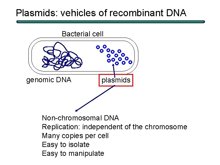 Plasmids: vehicles of recombinant DNA Bacterial cell genomic DNA plasmids Non-chromosomal DNA Replication: independent Plasmids: vehicles of recombinant DNA Bacterial cell genomic DNA plasmids Non-chromosomal DNA Replication: independent