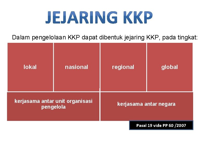 Dalam pengelolaan KKP dapat dibentuk jejaring KKP, pada tingkat: lokal nasional kerjasama antar unit