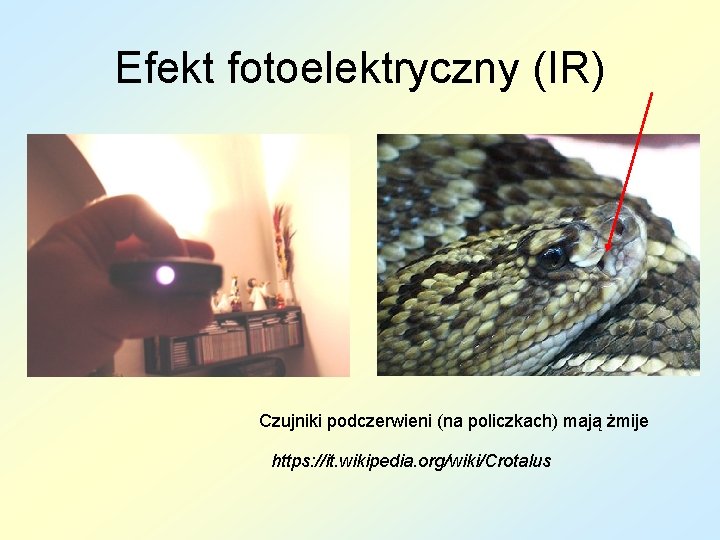 Efekt fotoelektryczny (IR) Czujniki podczerwieni (na policzkach) mają żmije https: //it. wikipedia. org/wiki/Crotalus 