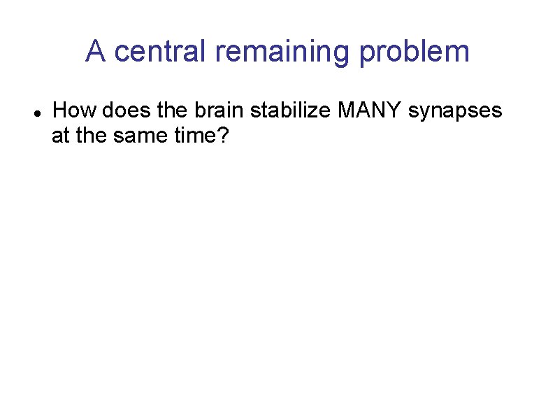 A central remaining problem How does the brain stabilize MANY synapses at the same