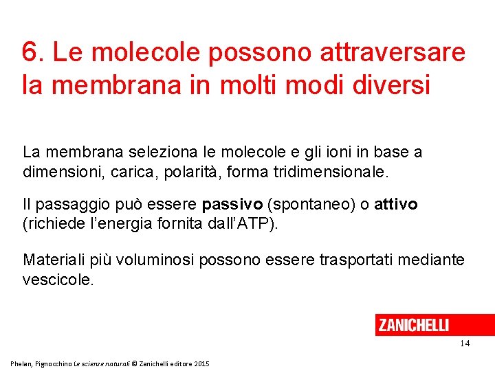 6. Le molecole possono attraversare la membrana in molti modi diversi La membrana seleziona 6. Le molecole possono attraversare la membrana in molti modi diversi La membrana seleziona