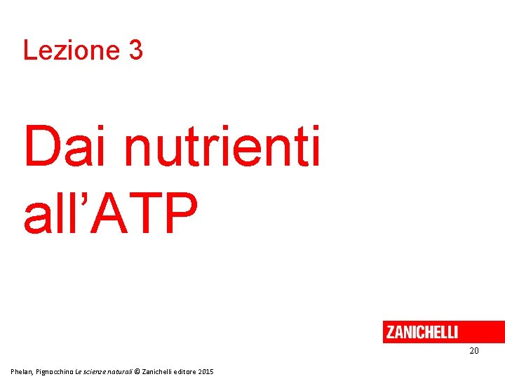 Lezione 3 Dai nutrienti all’ATP 20 Phelan, Pignocchino Le scienze naturali © Zanichelli editore Lezione 3 Dai nutrienti all’ATP 20 Phelan, Pignocchino Le scienze naturali © Zanichelli editore