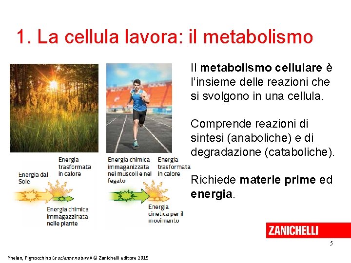 1. La cellula lavora: il metabolismo Il metabolismo cellulare è l’insieme delle reazioni che 1. La cellula lavora: il metabolismo Il metabolismo cellulare è l’insieme delle reazioni che