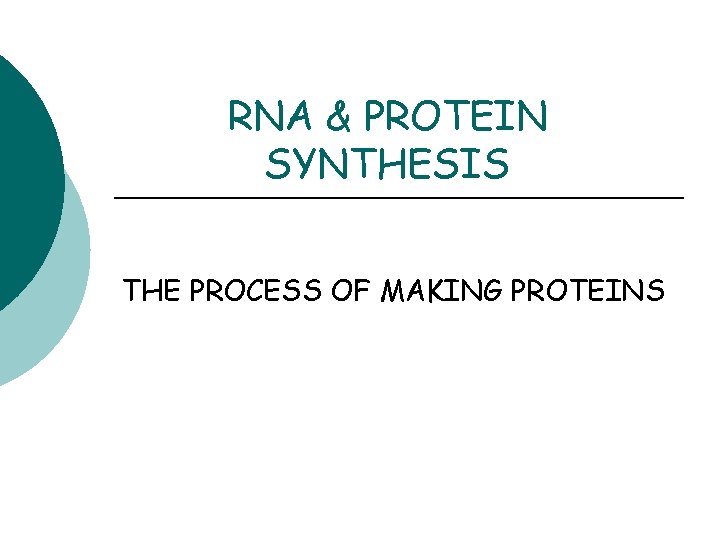 RNA & PROTEIN SYNTHESIS THE PROCESS OF MAKING PROTEINS 