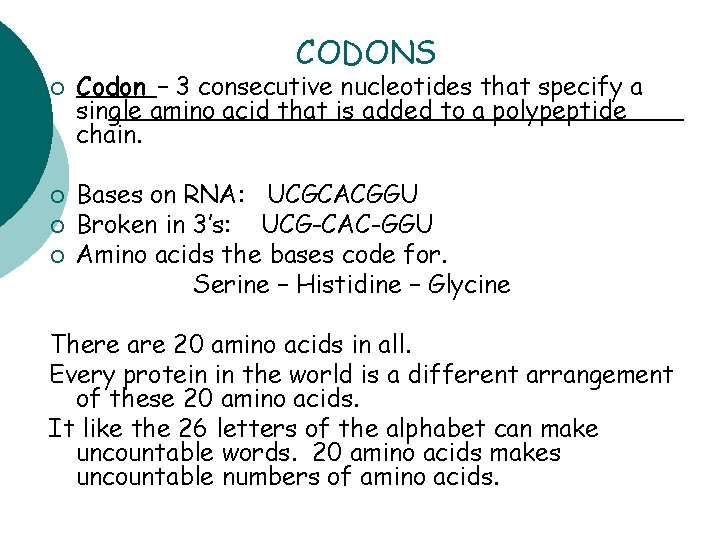 CODONS ¡ ¡ Codon – 3 consecutive nucleotides that specify a single amino acid