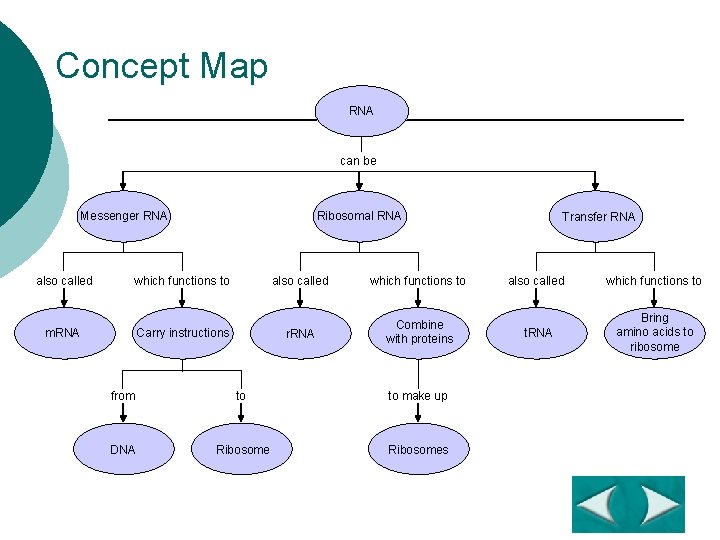 Concept Map RNA can be Messenger RNA also called which functions to m. RNA