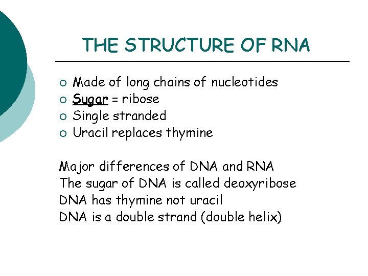 THE STRUCTURE OF RNA ¡ ¡ Made of long chains of nucleotides Sugar =