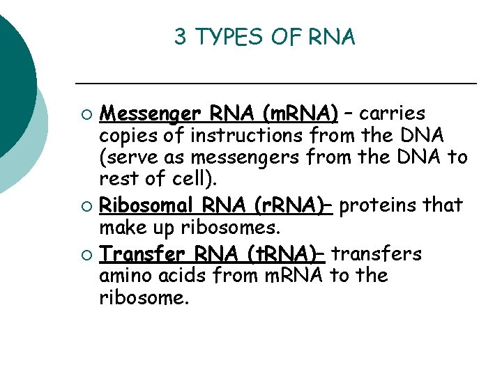 3 TYPES OF RNA Messenger RNA (m. RNA) – carries copies of instructions from