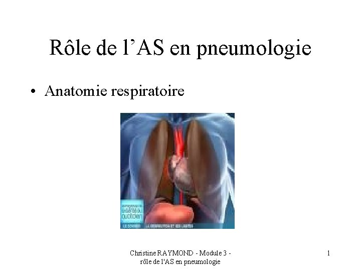 Rôle de l’AS en pneumologie • Anatomie respiratoire Christine RAYMOND - Module 3 rôle