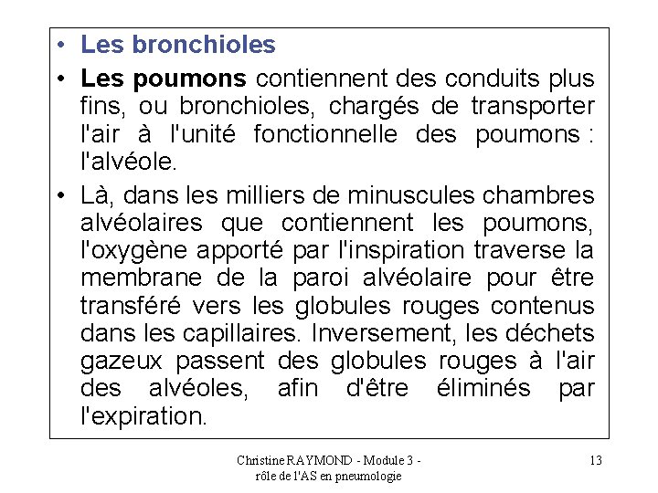  • Les bronchioles • Les poumons contiennent des conduits plus fins, ou bronchioles,