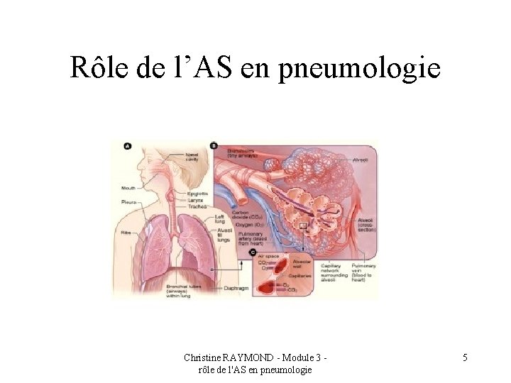 Rôle de l’AS en pneumologie Christine RAYMOND - Module 3 rôle de l'AS en