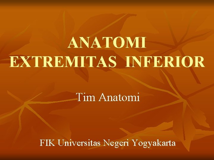 ANATOMI EXTREMITAS INFERIOR Tim Anatomi FIK Universitas Negeri Yogyakarta 