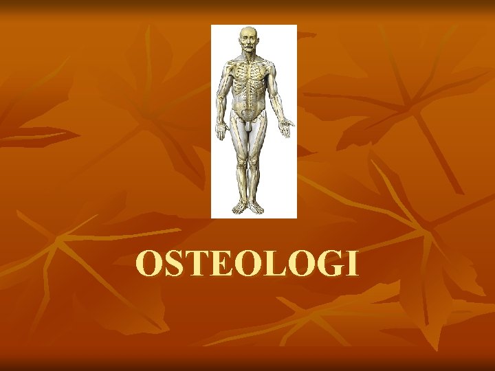 OSTEOLOGI 