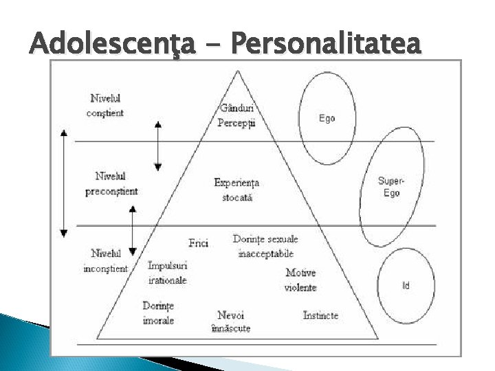 Adolescenţa - Personalitatea 