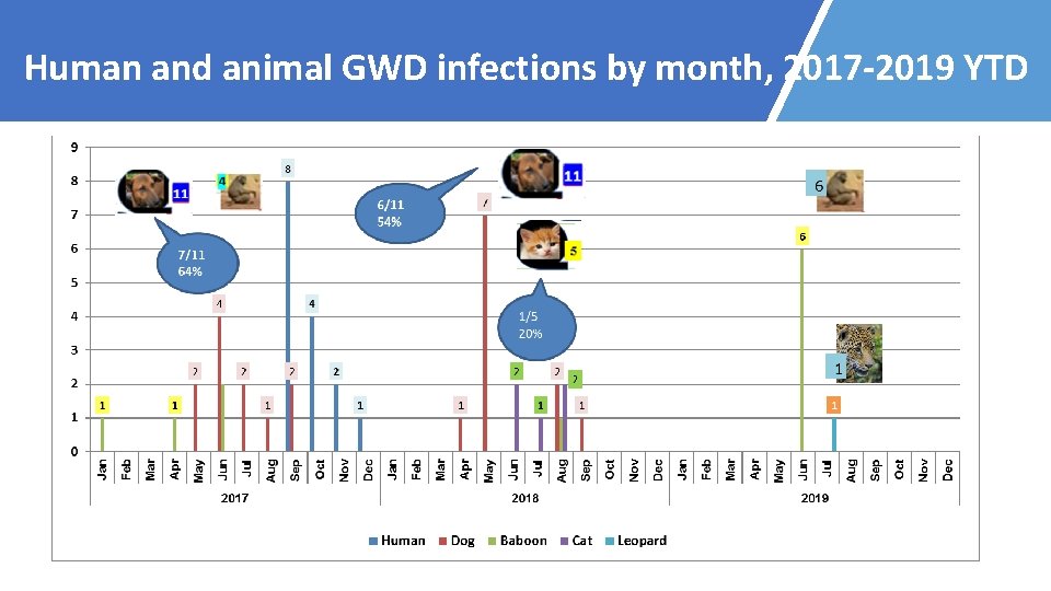 Human and animal GWD infections by month, 2017 -2019 YTD 