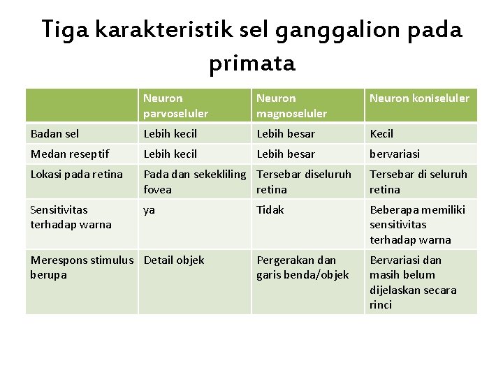 Tiga karakteristik sel ganggalion pada primata Neuron parvoseluler Neuron magnoseluler Neuron koniseluler Badan sel