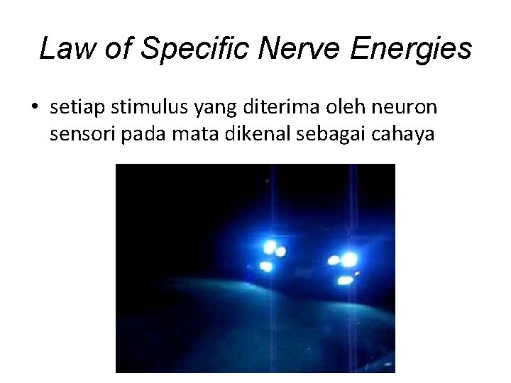 Law of Specific Nerve Energies • setiap stimulus yang diterima oleh neuron sensori pada