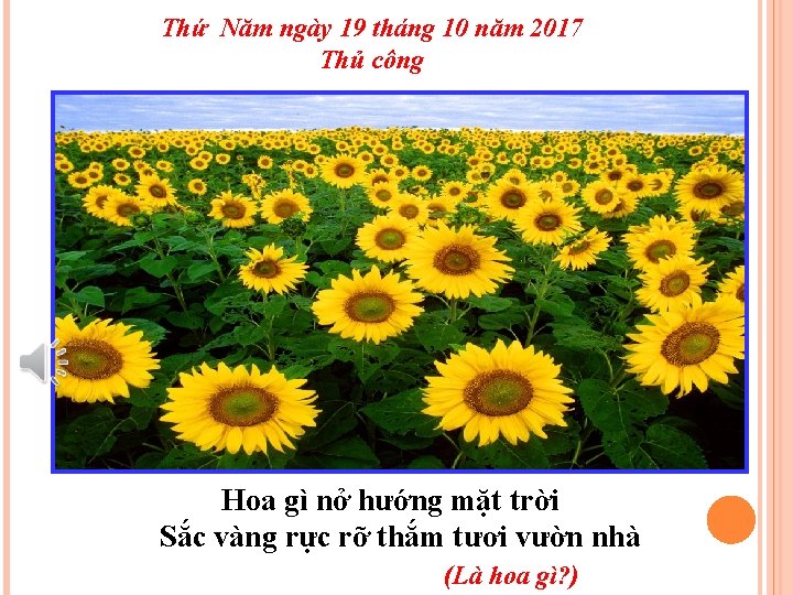 Thứ Năm ngày 19 tháng 10 năm 2017 Thủ công Hoa gì nở hướng