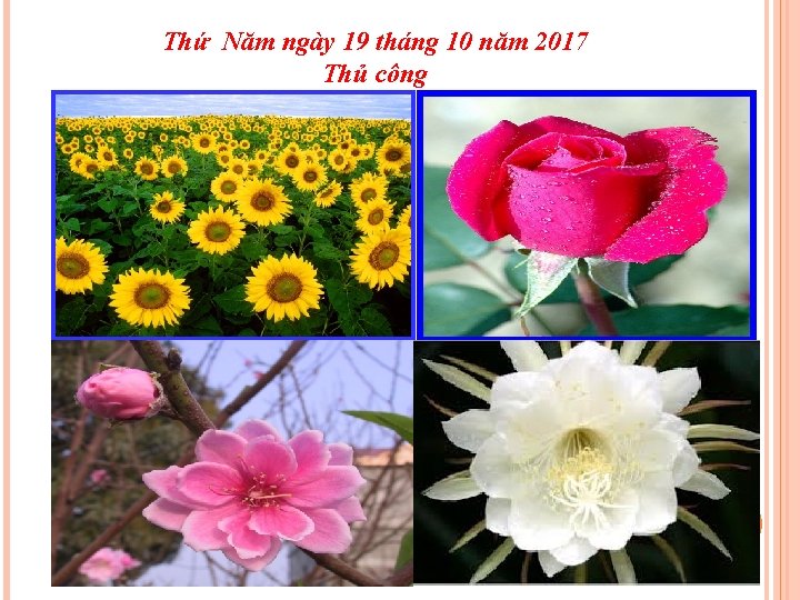 Thứ Năm ngày 19 tháng 10 năm 2017 Thủ công 