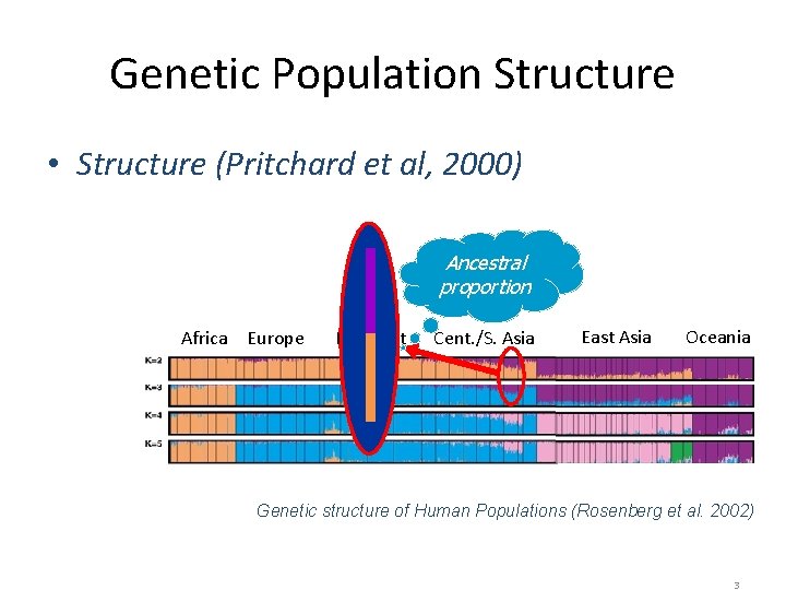 Genetic Population Structure • Structure (Pritchard et al, 2000) Ancestral proportion Africa Europe Mid-East