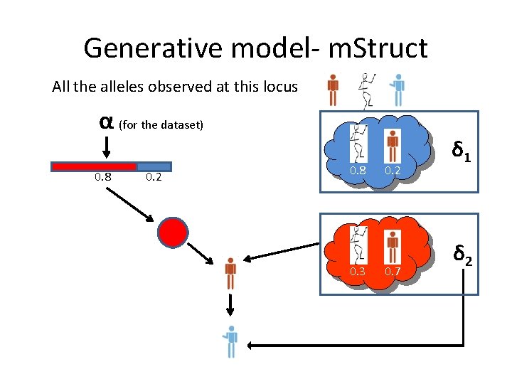 Generative model- m. Struct All the alleles observed at this locus α (for the