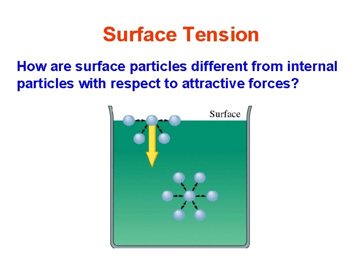 Surface Tension How are surface particles different from internal particles with respect to attractive