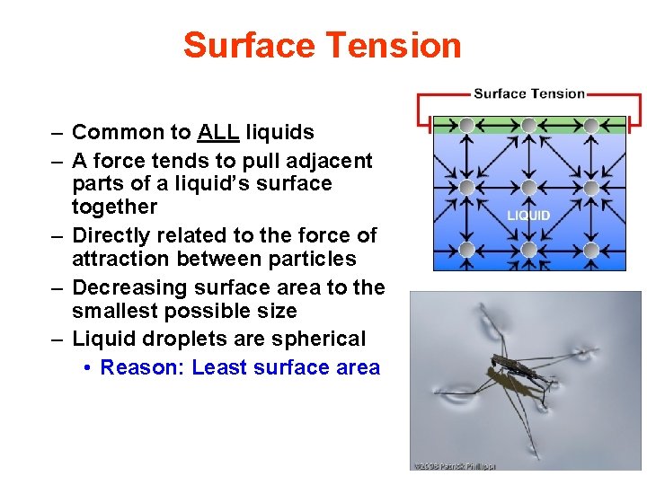 Surface Tension – Common to ALL liquids – A force tends to pull adjacent