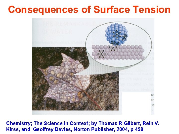 Consequences of Surface Tension Chemistry; The Science in Context; by Thomas R Gilbert, Rein