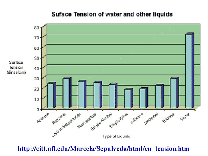 http: //citt. ufl. edu/Marcela/Sepulveda/html/en_tension. htm 