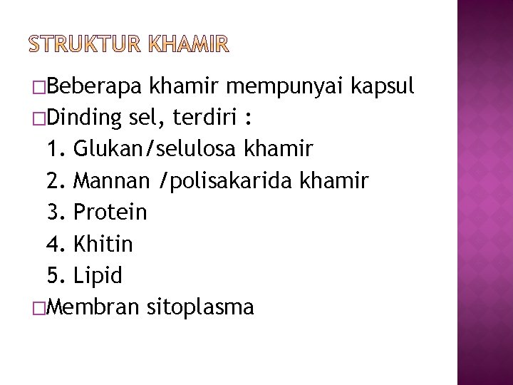 �Beberapa khamir mempunyai kapsul �Dinding sel, terdiri : 1. Glukan/selulosa khamir 2. Mannan /polisakarida