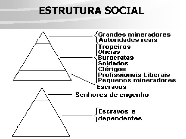 ESTRUTURA SOCIAL 