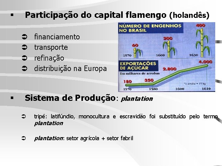 § Participação do capital flamengo (holandês) Ü Ü § financiamento transporte refinação distribuição na § Participação do capital flamengo (holandês) Ü Ü § financiamento transporte refinação distribuição na