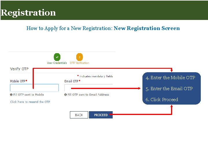 Registration for Taxpayers Registration How to Apply for a New Registration: New Registration Screen