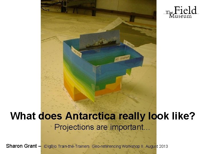 What does Antarctica really look like? Projections are important… Sharon Grant – i. Dig.