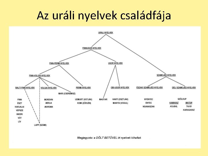 Az uráli nyelvek családfája 