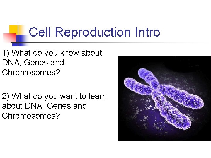 Cell Reproduction Intro 1) What do you know about DNA, Genes and Chromosomes? 2)