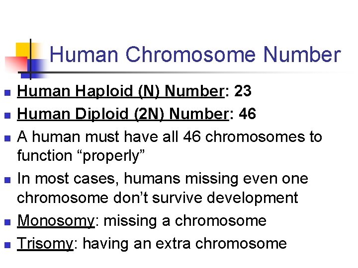 Human Chromosome Number n n n Human Haploid (N) Number: 23 Human Diploid (2